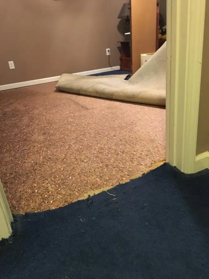 Carpet pad removal revealing water damage during Water Mitigation Services in Prunedale