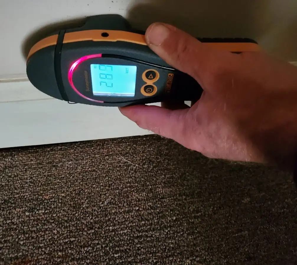 Moisture detection at baseboard during Mold Inspection & Testing in Prunedale